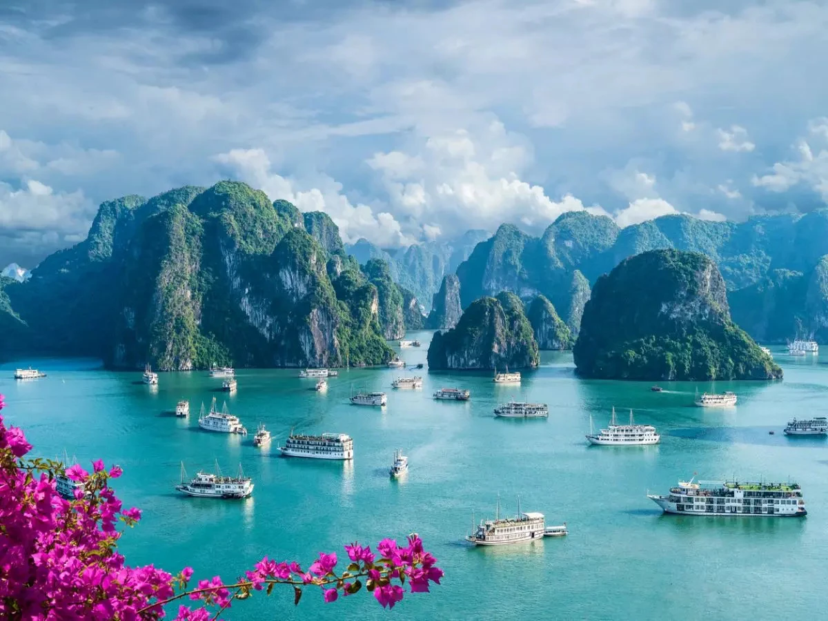 Vietnam Scenery Image