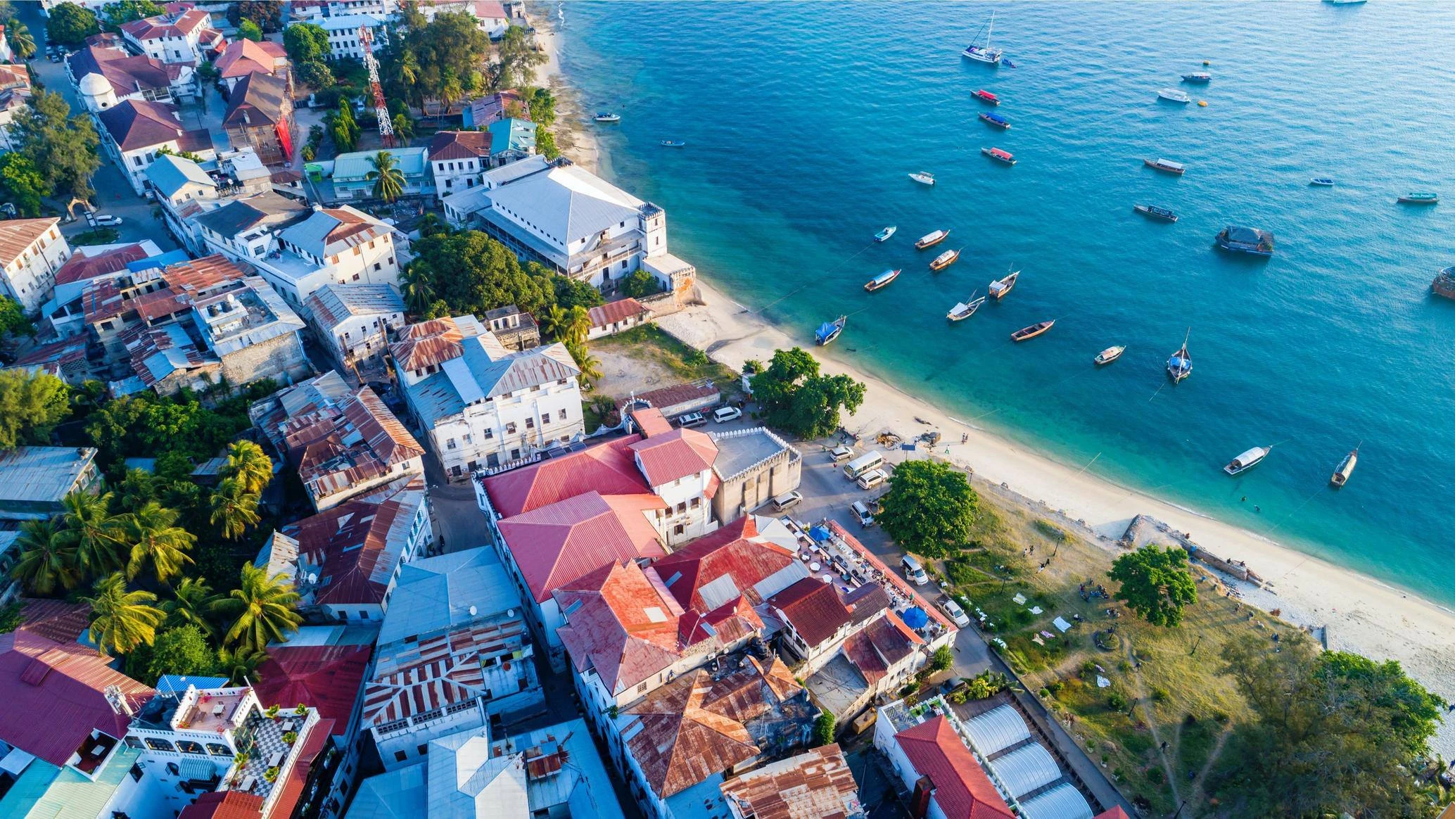 Zanzibar Scenery Image