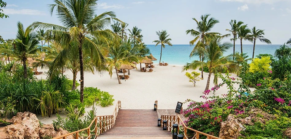 Zanzibar Scenery Image