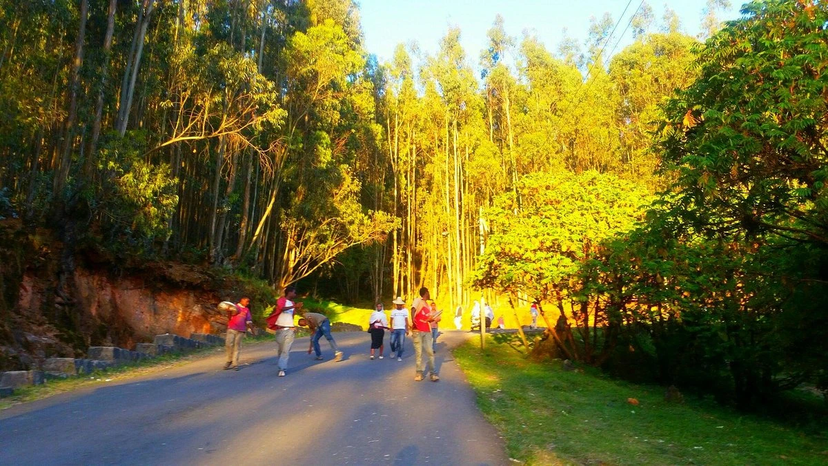 Addis Ababa Scenery Image